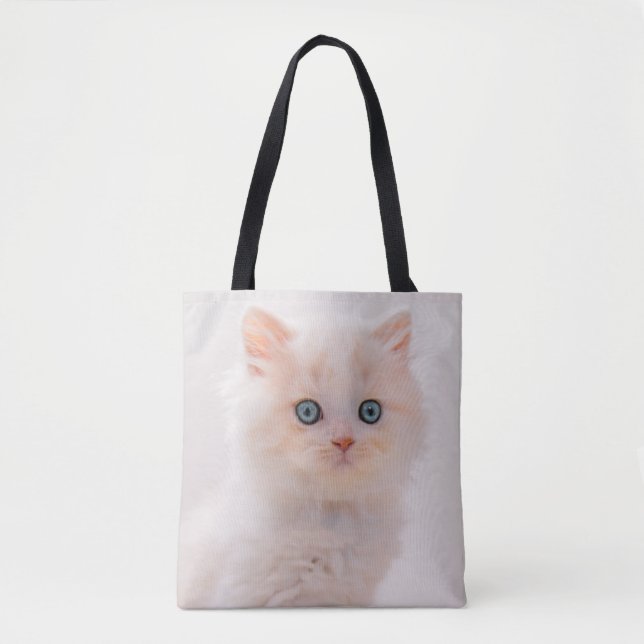 Niedliche Kleintiere | Blue Eye Kitten (Vorderseite)