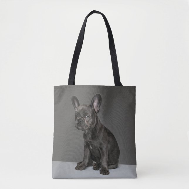 Niedliche Kleintiere | Blue French Bulldog Puppy (Vorderseite)