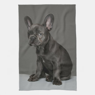 Niedliche Kleintiere   Blue French Bulldog Puppy Geschirrtuch