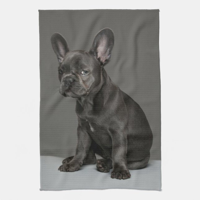 Niedliche Kleintiere | Blue French Bulldog Puppy Geschirrtuch (Vertikal)
