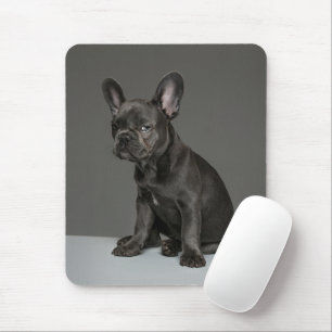 Niedliche Kleintiere Blue French Bulldog Puppy Mousepad