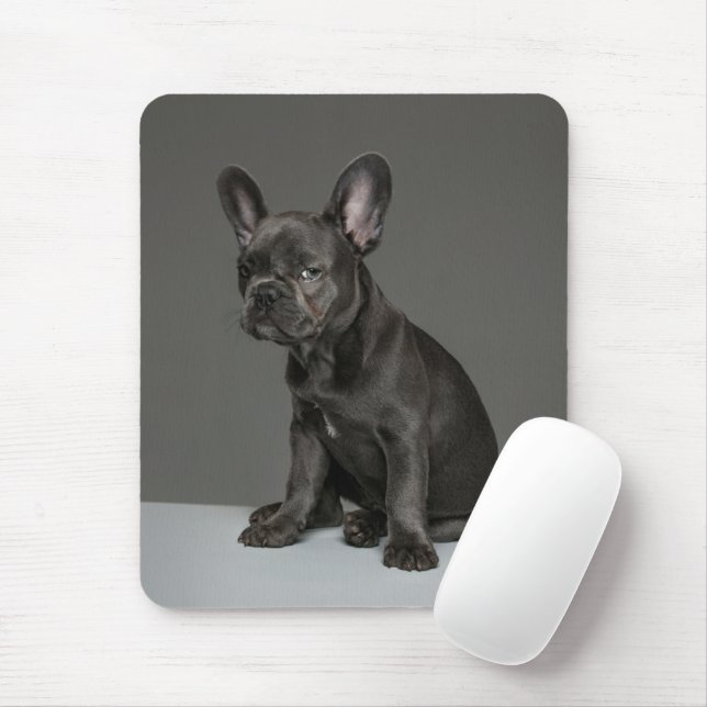 Niedliche Kleintiere | Blue French Bulldog Puppy Mousepad (Mit Mouse)