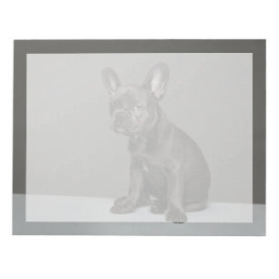Niedliche Kleintiere Blue French Bulldog Puppy Notizblock