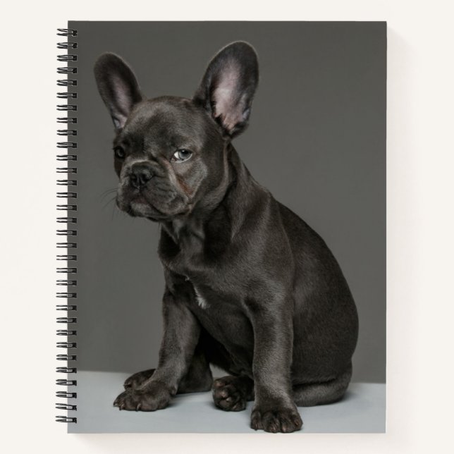 Niedliche Kleintiere | Blue French Bulldog Puppy Notizbuch (Vorderseite)