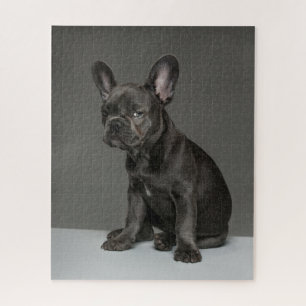 Niedliche Kleintiere   Blue French Bulldog Puppy Puzzle