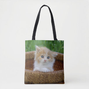 Niedliche Kleintiere Blue Mit Augen Kitten