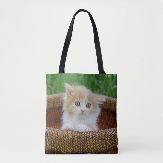 Niedliche Kleintiere | Blue Mit Augen Kitten (Vorderseite)