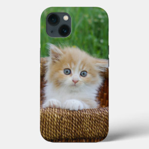 Niedliche Kleintiere Blue Mit Augen Kitten Case-Mate iPhone Hülle