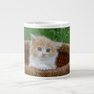 Niedliche Kleintiere   Blue Mit Augen Kitten Jumbo-Tasse