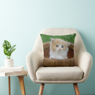 Niedliche Kleintiere   Blue Mit Augen Kitten Kissen