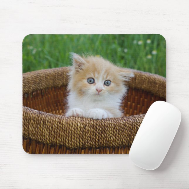Niedliche Kleintiere | Blue Mit Augen Kitten Mousepad (Mit Mouse)