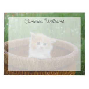 Niedliche Kleintiere   Blue Mit Augen Kitten Notizblock