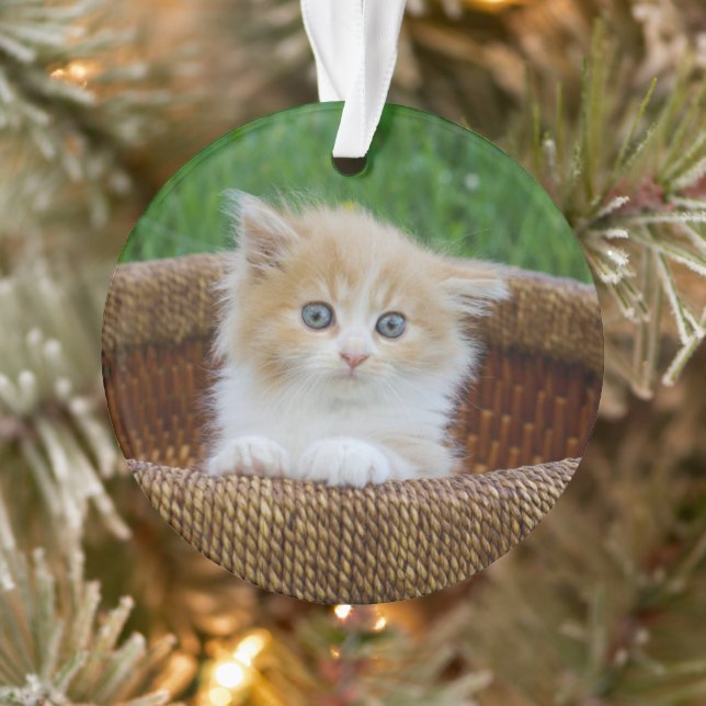 Niedliche Kleintiere | Blue Mit Augen Kitten Ornament (Baum)
