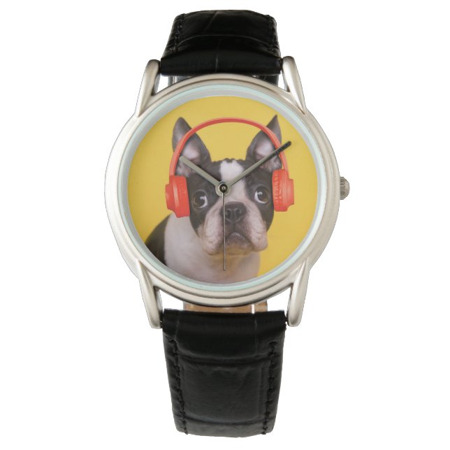 Niedliche Kleintiere | Boston Terrier Kopfhörer Armbanduhr (Vorderseite)