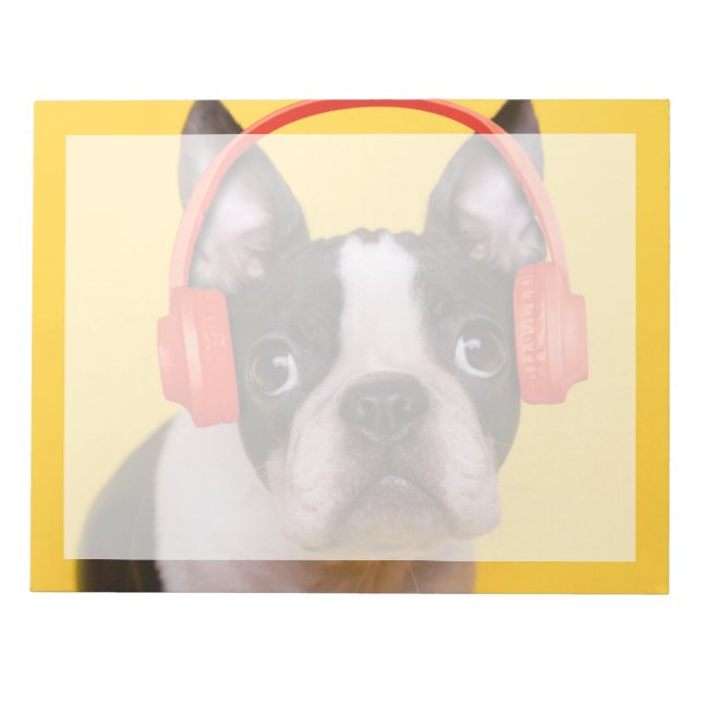 Niedliche Kleintiere | Boston Terrier Kopfhörer Notizblock (Vorderseite)