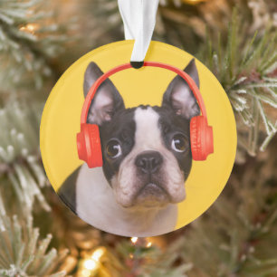 Niedliche Kleintiere   Boston Terrier Kopfhörer Ornament