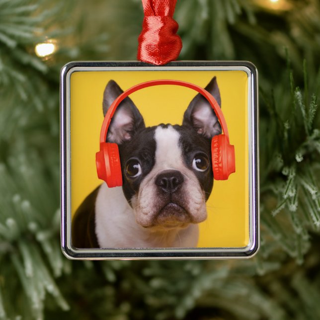Niedliche Kleintiere | Boston Terrier Kopfhörer Ornament Aus Metall (Baum)