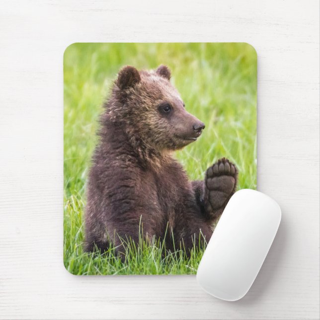 Niedliche Kleintiere | Braune Bärenwölfe Mousepad (Mit Mouse)
