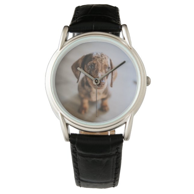 Niedliche Kleintiere | Braune Dackel Welpe Armbanduhr (Vorderseite)