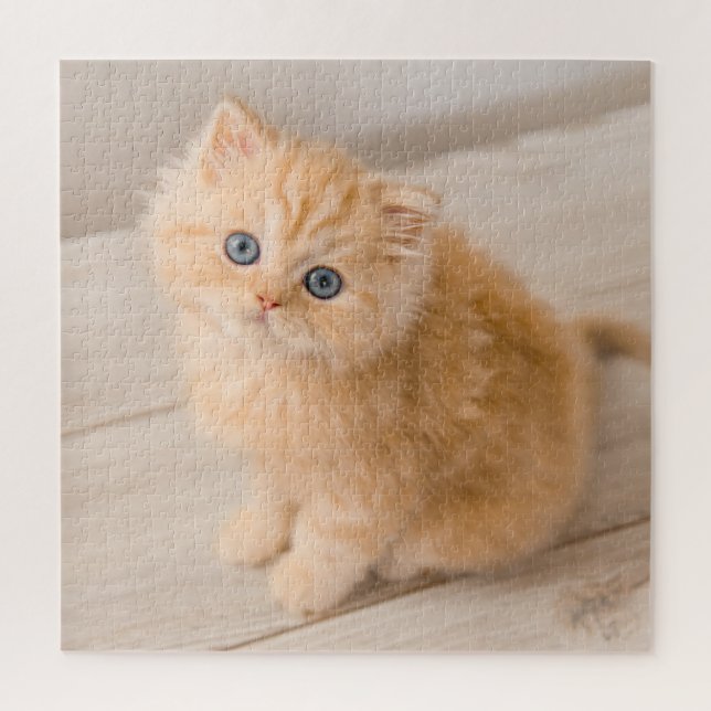 Niedliche Kleintiere | British Longhair Kitten Puzzle (Vertikal)