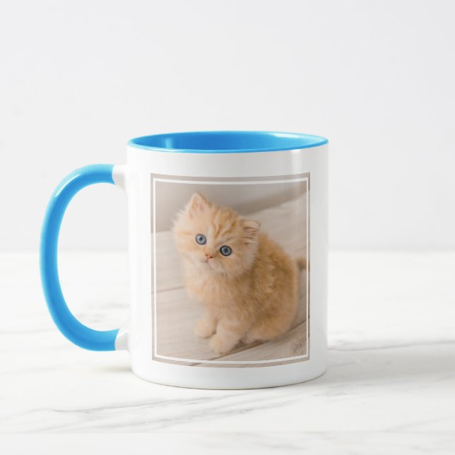 Niedliche Kleintiere | British Longhair Kitten Tasse (Links)