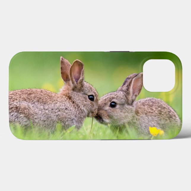 Niedliche Kleintiere | Bunny Kiss Case-Mate iPhone Hülle (Rückseite (Horizontal))
