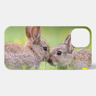 Niedliche Kleintiere Bunny Kiss iPhone 13 Hülle