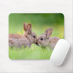 Niedliche Kleintiere   Bunny Kiss Mousepad