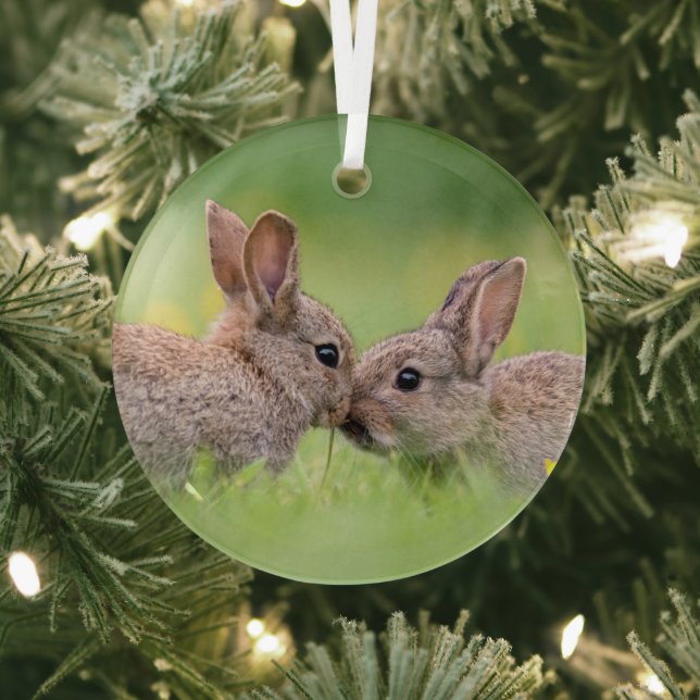 Niedliche Kleintiere | Bunny Kiss Ornament Aus Glas (InSitu)