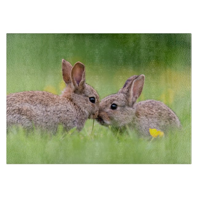 Niedliche Kleintiere | Bunny Kiss Schneidebrett (Vorderseite)
