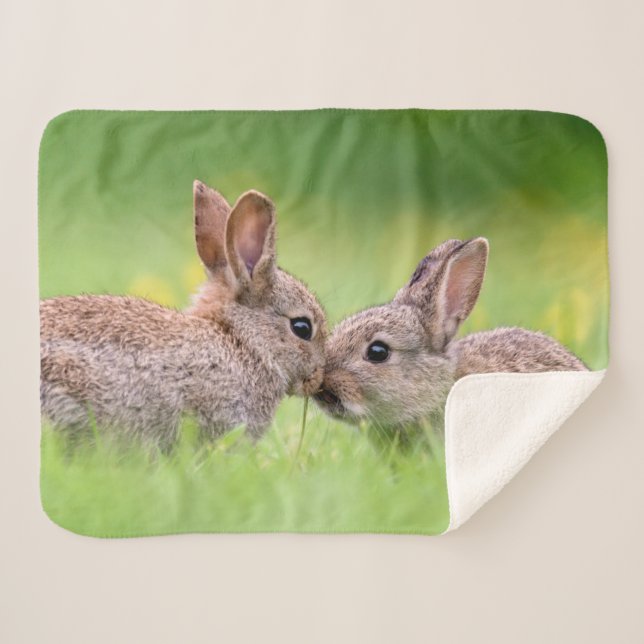 Niedliche Kleintiere | Bunny Kiss Sherpadecke (Vorderseite (Horizontal))