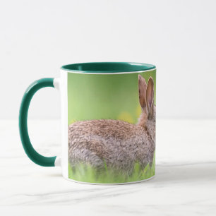 Niedliche Kleintiere Bunny Kiss Tasse