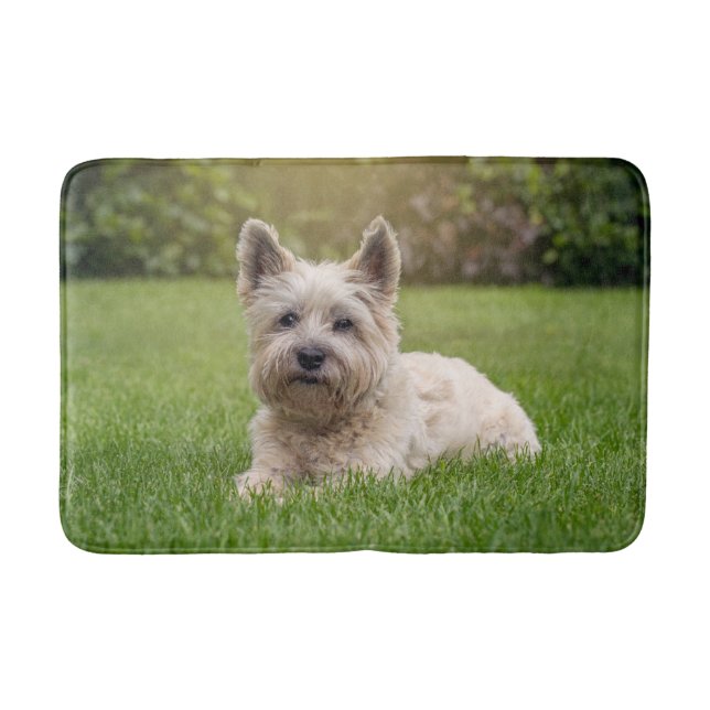 Niedliche Kleintiere | Cairn Terrier Dog Badematte (Vorderseite)