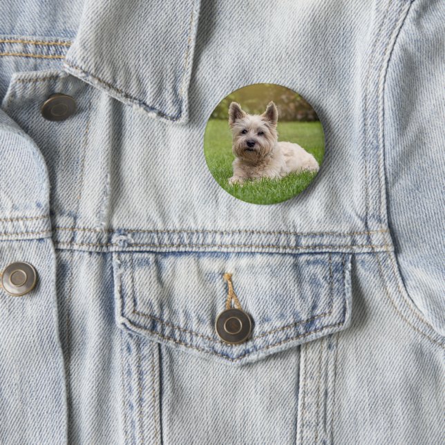Niedliche Kleintiere | Cairn Terrier Dog Button (Beispiel)