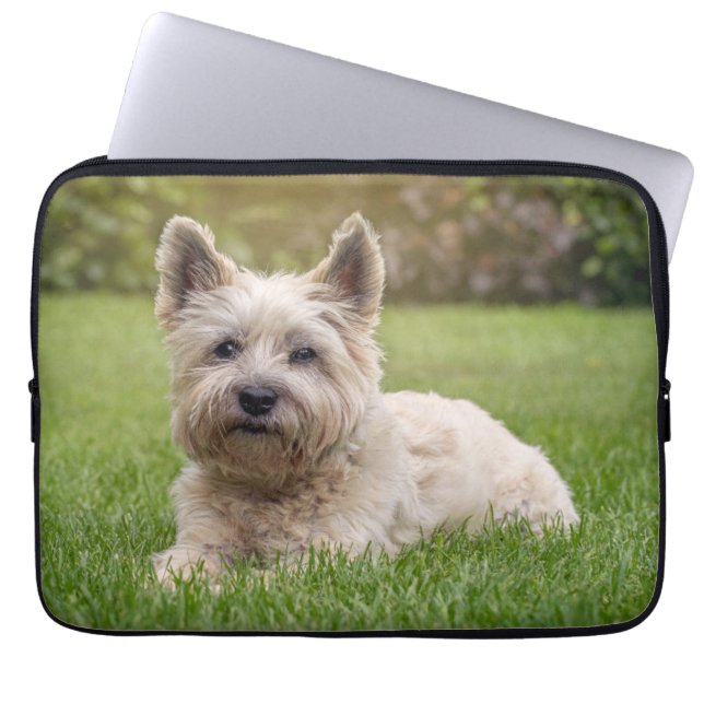 Niedliche Kleintiere | Cairn Terrier Dog Laptopschutzhülle (Vorderseite)