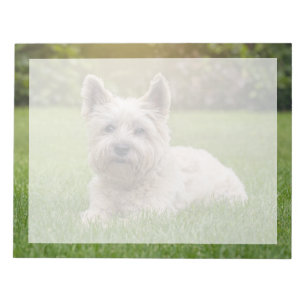 Niedliche Kleintiere   Cairn Terrier Dog Notizblock