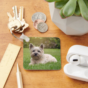 Niedliche Kleintiere   Cairn Terrier Dog Schlüsselanhänger