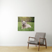 Niedliche Kleintiere | Cairn Terrier Dog