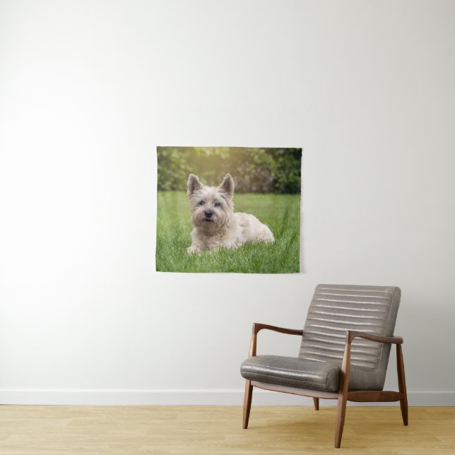 Niedliche Kleintiere | Cairn Terrier Dog Wandteppich (Beispiel (Horizontal))