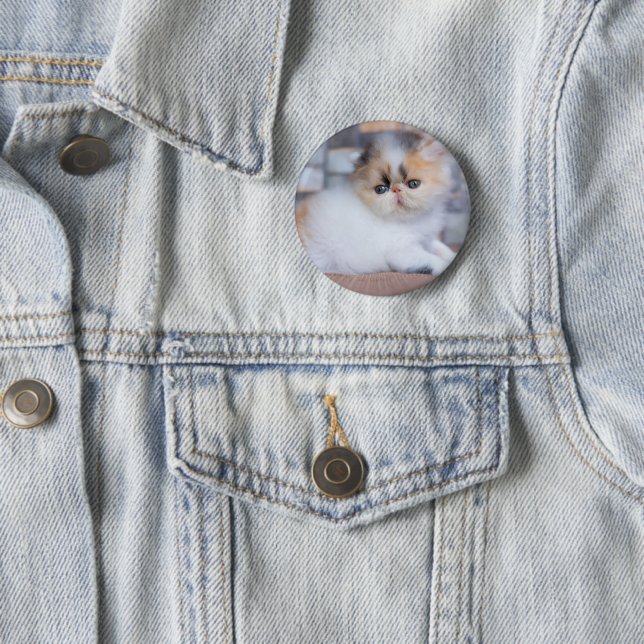 Niedliche Kleintiere | Calico Persian Kitten Button (Beispiel)