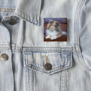 Niedliche Kleintiere Calico Persian Kitten Button