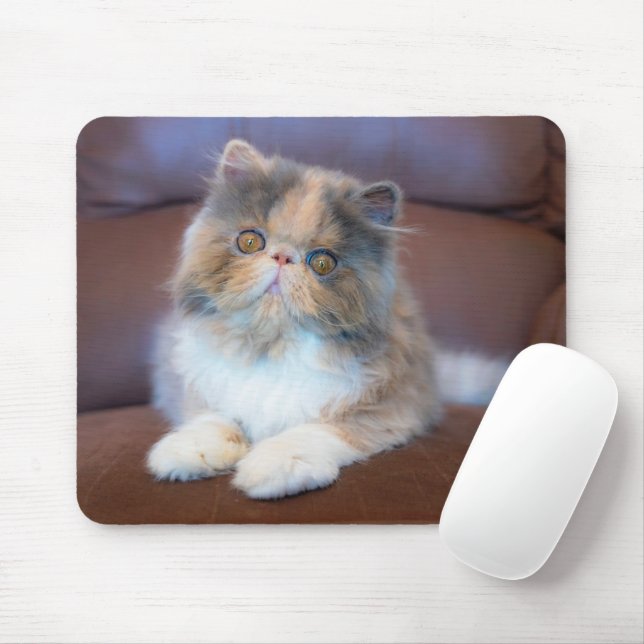 Niedliche Kleintiere | Calico Persian Kitten Mousepad (Mit Mouse)