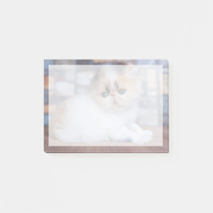 Niedliche Kleintiere Calico Persian Kitten Post-it Klebezettel