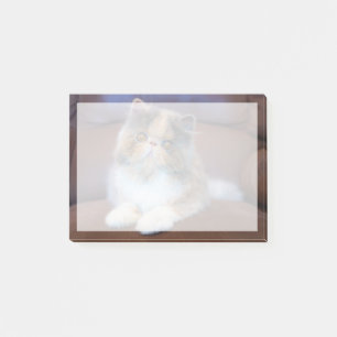 Niedliche Kleintiere   Calico Persian Kitten Post-it Klebezettel