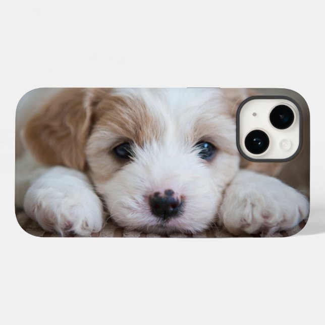 Niedliche Kleintiere | Cavashon Puppy Case-Mate iPhone Hülle (Rückseite (Horizontal))