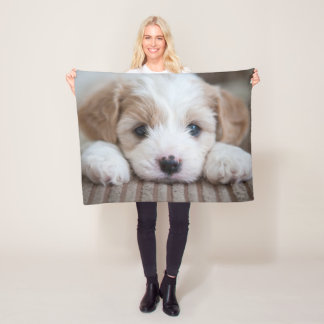 Niedliche Kleintiere | Cavashon Puppy Fleecedecke