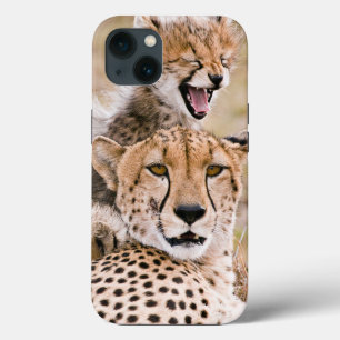 Niedliche Kleintiere Cheetah Cat & Cub Case-Mate iPhone Hülle