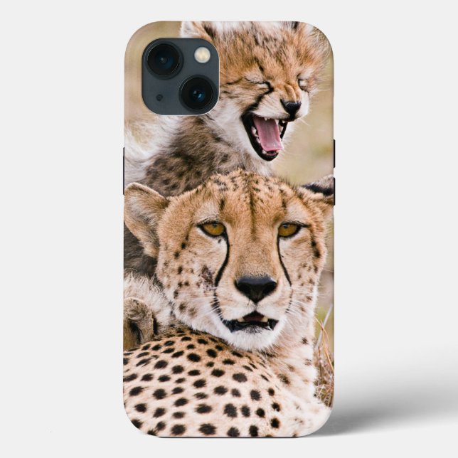 Niedliche Kleintiere | Cheetah Cat & Cub Case-Mate iPhone Hülle (Rückseite)