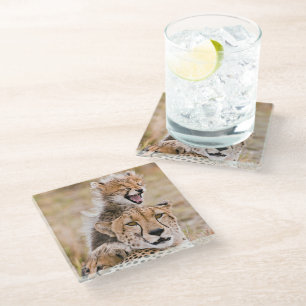 Niedliche Kleintiere Cheetah Cat & Cub Glasuntersetzer