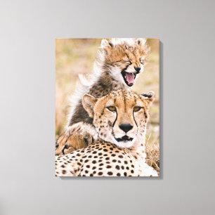 Niedliche Kleintiere   Cheetah Cat & Cub Leinwanddruck